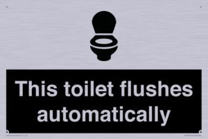 This toilet flushes automatically